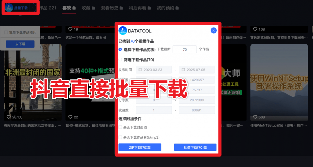 图片[4]-神仙解析下载工具！轻松批量下载100+平台4K视频，无水印解析！支持抖/Tk/红书/YTB/B站等-数字宝库