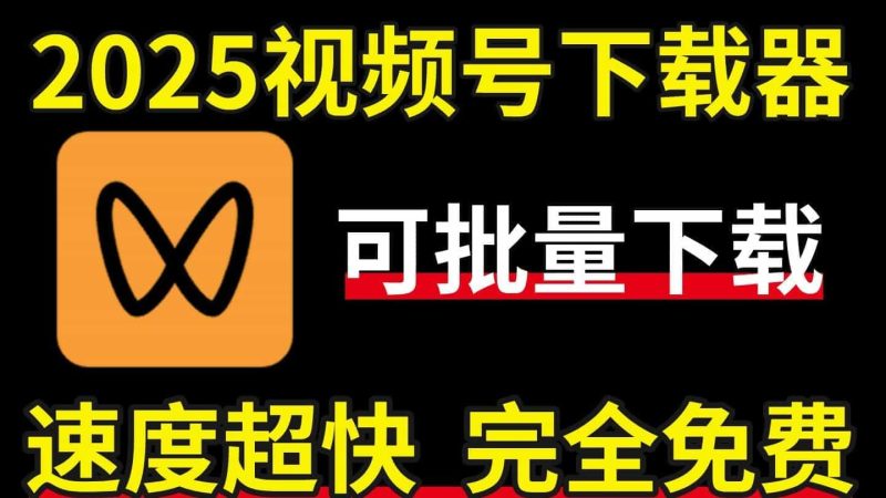 2025最新视频号视频下载器，可批量下载高清视频，免费好用的视频号下载工具教程-数字宝库
