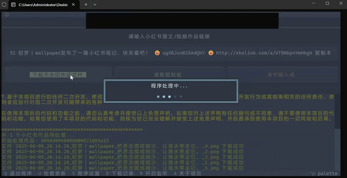 图片[3]-小红书无水印下载工具，支持视频/图片下载，原图原视频去水印下载，小红书图文下载工具软件神器-数字宝库
