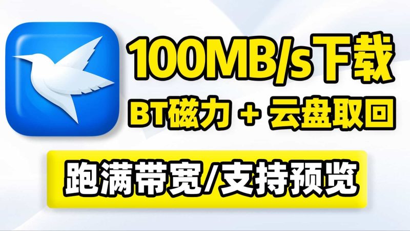 PC电脑高速下载工具，支持BT、磁力、云盘取回！100MB/s速度，可在线预览播放、云盘空间存储、文件批量下载保存到本地！默认跑满带宽，不限制上传下载速度！-数字宝库