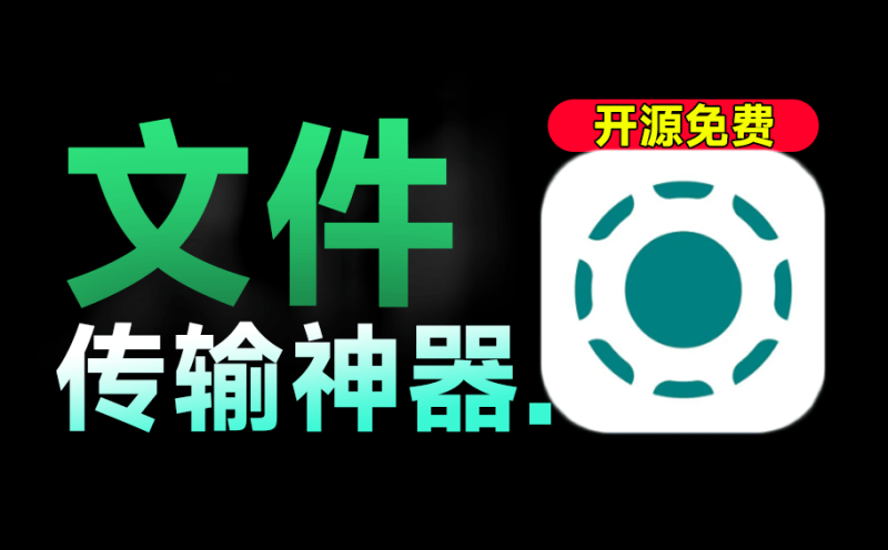 速度50M/s，同类天花板级别！局域网文件传输助手，支持全平台使用，无损不限速文件传输LocalSend-数字宝库
