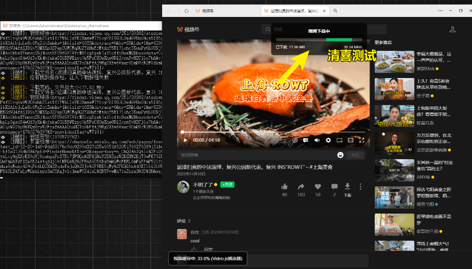 图片[2]-2025最新微信视频号下载工具，微信视频如何下载？？下载神器！支持 Windows 和 macOS 系统，界面美观，效果更强大，支持智能识别分类-数字宝库